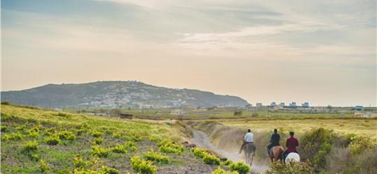 Photo of Discovering the Caldera Cliffs on a Private Horseback Excursion